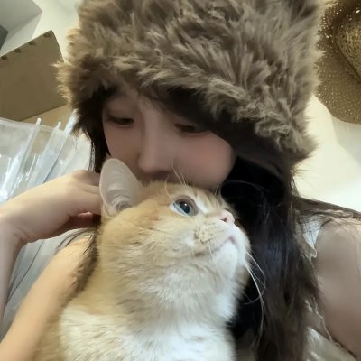聪明的鸭子